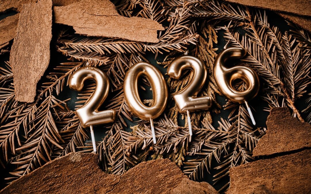 New Year, New You: Embracing the Fresh Start After Divorce
